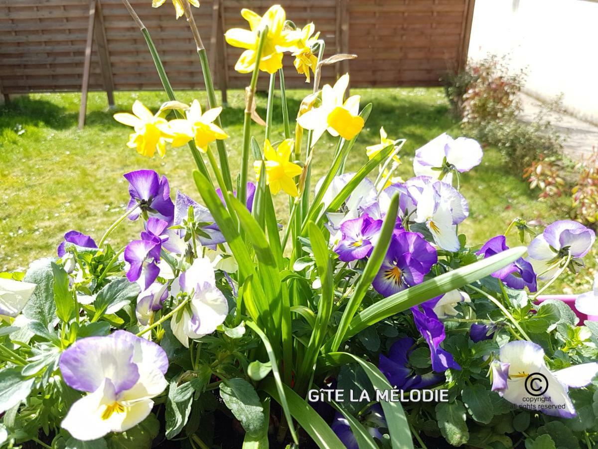 Gite La Melodie Longueville  ภายนอก รูปภาพ