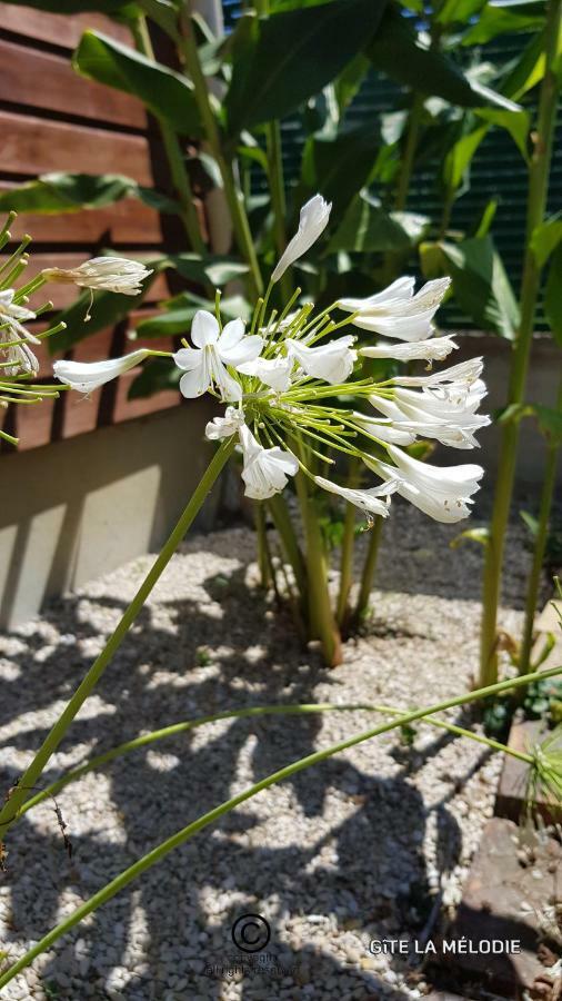 Gite La Melodie Longueville  ภายนอก รูปภาพ
